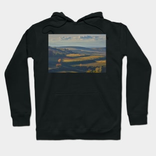 View across the Kaiserstuhl in Autumn Hoodie